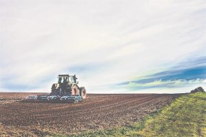 Suid Afrikaanse boere moet grond deel – of alles verloor