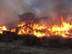 Brande wat in Oos-Kaap woed alreeds R6 m. se skade aangerig