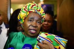 Belastingbetalers hoes vir Dlamini-Zuma se veiligheid