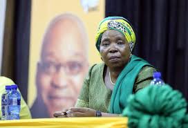 Nkosazana Dlamini-Zuma: Wittes het grond gesteel