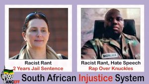 Vicki Momberg-vonnisoplegging bevestig dubbele standaarde in Suid-Afrika met betrekking tot ras