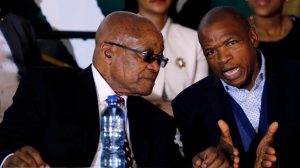 VF Plus wil Zuma aanvat oor sy gesteelde beeste