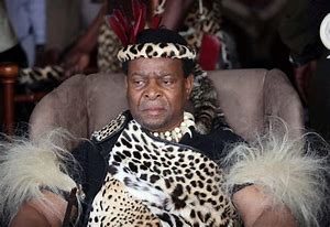 Kenners kap Zulu koning na hy sy neus probeer insteek by aangeleenthede van die staat onder andere die anti-massa immigrasie geweld