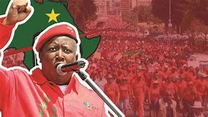 Wrywing in Rooi brigade? – EFF partye lede ontevrede oor leiersfigure en meen hulle moet vervang word
