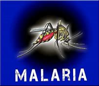Twee SA dokters maak revolusionêre vordering op gebied van malaria navorsing
