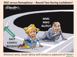 NDZ vs Ramaphosa