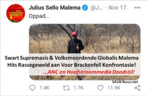 Malema blaas rasse-geweld en haat aan